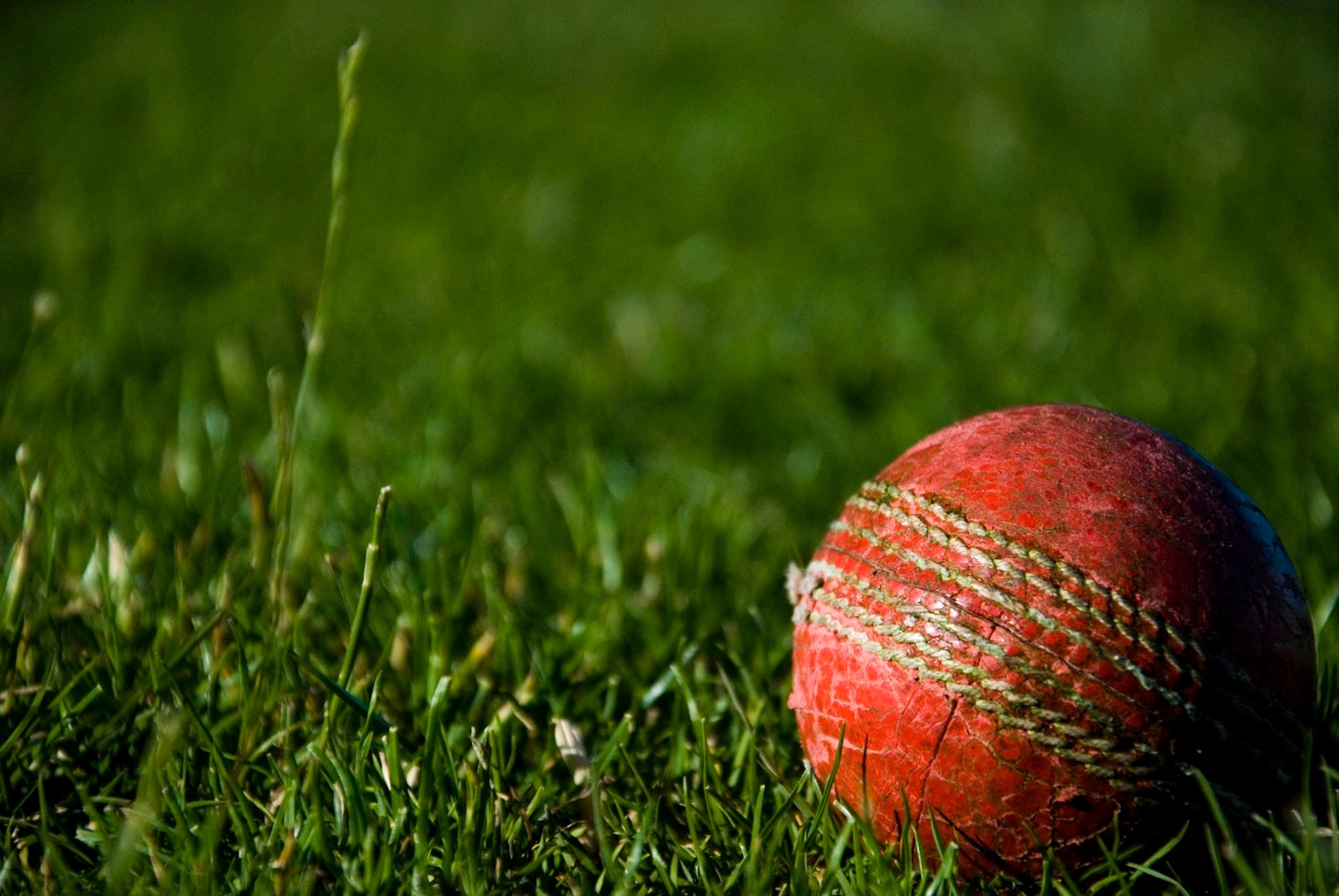 Exploring the Benefits of Trusted Cricket Betting Services